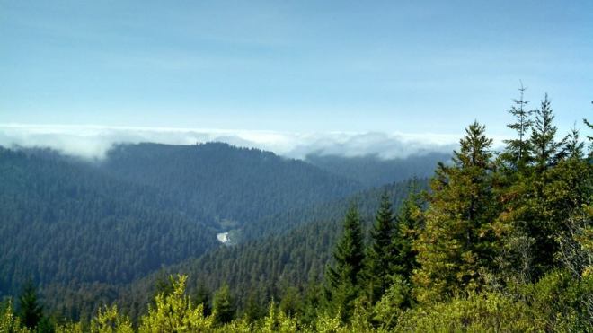 Redwood National Park2